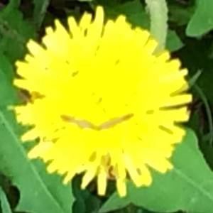 Meet your Posher, Kathleen